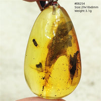 Natural Insect Amber Water Drop Pendant Flower Yellow Amber Insect Necklace Baltic Women Men Jewelry Stone AAAAAAA