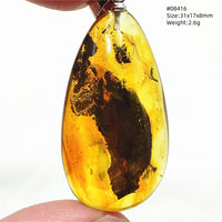 Natural Insect Amber Water Drop Pendant Flower Yellow Amber Insect Necklace Baltic Women Men Jewelry Stone AAAAAAA