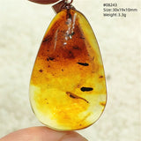 Natural Insect Amber Water Drop Pendant Flower Yellow Amber Insect Necklace Baltic Women Men Jewelry Stone AAAAAAA