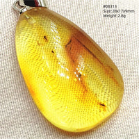 Natural Insect Amber Water Drop Pendant Flower Yellow Amber Insect Necklace Baltic Women Men Jewelry Stone AAAAAAA