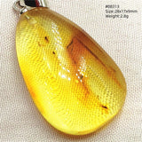 Natural Insect Amber Water Drop Pendant Flower Yellow Amber Insect Necklace Baltic Women Men Jewelry Stone AAAAAAA