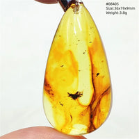 Natural Insect Amber Water Drop Pendant Flower Yellow Amber Insect Necklace Baltic Women Men Jewelry Stone AAAAAAA