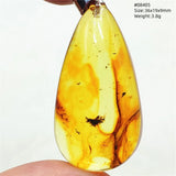 Natural Insect Amber Water Drop Pendant Flower Yellow Amber Insect Necklace Baltic Women Men Jewelry Stone AAAAAAA