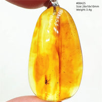 Natural Insect Amber Water Drop Pendant Flower Yellow Amber Insect Necklace Baltic Women Men Jewelry Stone AAAAAAA
