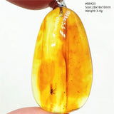 Natural Insect Amber Water Drop Pendant Flower Yellow Amber Insect Necklace Baltic Women Men Jewelry Stone AAAAAAA