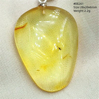 Natural Insect Amber Water Drop Pendant Flower Yellow Amber Insect Necklace Baltic Women Men Jewelry Stone AAAAAAA