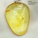 Natural Insect Amber Water Drop Pendant Flower Yellow Amber Insect Necklace Baltic Women Men Jewelry Stone AAAAAAA