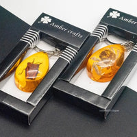 Insect Specimen Amber Keychain Resin Scorpion Crab Car Key Bag Keychain Hanging Ornament Natural Insect Pendants Gift 2025