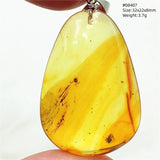 Natural Insect Amber Water Drop Pendant Flower Yellow Amber Insect Necklace Baltic Women Men Jewelry Stone AAAAAAA