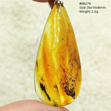 Natural Insect Amber Water Drop Pendant Flower Yellow Amber Insect Necklace Baltic Women Men Jewelry Stone AAAAAAA