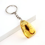 Insect Specimen Amber Keychain Resin Scorpion Crab Car Key Bag Keychain Hanging Ornament Natural Insect Pendants Gift 2025