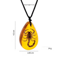 Retro Amber Pendant Necklace Fashion Insect Golden Scorpion Amber Drop Pendant Necklace Men's and Women's Necklace Accessories