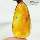 Natural Insect Amber Water Drop Pendant Flower Yellow Amber Insect Necklace Baltic Women Men Jewelry Stone AAAAAAA