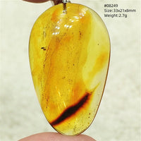 Natural Insect Amber Water Drop Pendant Flower Yellow Amber Insect Necklace Baltic Women Men Jewelry Stone AAAAAAA