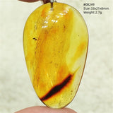 Natural Insect Amber Water Drop Pendant Flower Yellow Amber Insect Necklace Baltic Women Men Jewelry Stone AAAAAAA