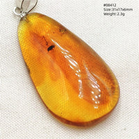 Natural Insect Amber Water Drop Pendant Flower Yellow Amber Insect Necklace Baltic Women Men Jewelry Stone AAAAAAA