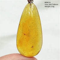 Natural Insect Amber Water Drop Pendant Flower Yellow Amber Insect Necklace Baltic Women Men Jewelry Stone AAAAAAA