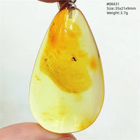 Natural Insect Amber Water Drop Pendant Flower Yellow Amber Insect Necklace Baltic Women Men Jewelry Stone AAAAAAA