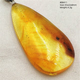 Natural Insect Amber Water Drop Pendant Flower Yellow Amber Insect Necklace Baltic Women Men Jewelry Stone AAAAAAA