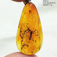 Natural Insect Amber Water Drop Pendant Flower Yellow Amber Insect Necklace Baltic Women Men Jewelry Stone AAAAAAA