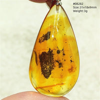 Natural Insect Amber Water Drop Pendant Flower Yellow Amber Insect Necklace Baltic Women Men Jewelry Stone AAAAAAA
