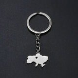 Anniyo Ukrainian Keychain Ukraine Key Ring Ukrainian Jewelry Key Chains for Women Men #000150
