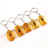 Insect Specimen Amber Keychain Resin Scorpion Crab Car Key Bag Keychain Hanging Ornament Natural Insect Pendants Gift 2025