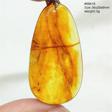 Natural Insect Amber Water Drop Pendant Flower Yellow Amber Insect Necklace Baltic Women Men Jewelry Stone AAAAAAA