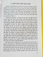 Katak Ke Visakh ਕੱਤਕ ਕਿ ਵਿਸਾਖ Guru Nanak Sikh book Karam Singh Historian Punjabi