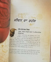 The Secret Book by Rhonda Byrne in Indian Punjabi Gurmukhi Brand New UK Shipping