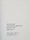 ਸੂਹੇ ਅੱਖਰ Soohay Akhar Oh Aakhdi Hai Punjabi Poems Poetry by Sukhvir Singh Book