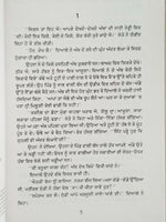 Sulphaas Novel by Ram Saroop Ankhi Panjabi Literature Punjabi Reading Book B8