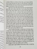 Sulphaas Novel by Ram Saroop Ankhi Panjabi Literature Punjabi Reading Book B8