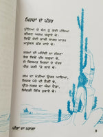 ਪੀੜਾਂ ਦਾ ਪਰਾਗਾ Peeran Da Praga Punjabi Poems Poetry of Shiv Kumar Batalvi Book