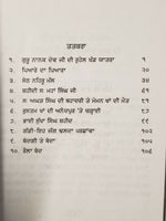 Sikh Sital Hulaare ਸੀਤਲ ਹੁਲਾਰੇ Punjabi Dadhi Vaara book by Sohan Singh Sital B52