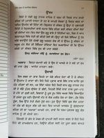 Sikh Dharam De Samajik Sarokar by Jatinder Pannu Punjabi Reading Book B70 Panjab