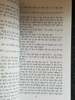 Pinjar Novel Amrita Pritam Punjabi Famous Fiction Book Paperback ਪਿੰਜਰ ਨਾਵਲ B70