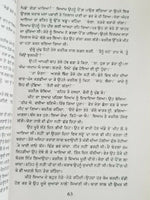 Hameergarh ਹਮੀਰਗੜ੍ਹ Novel Ram Saroop Ankhi Literature Punjabi Reading Book
