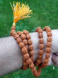 Hindu Authentic Rudraksha Yogic beads Meditation Praying Beads Sikh Simran Mala