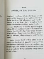 Kehra Punjab ਕਿਹੜਾ ਪੰਜਾਬ Yadwinder Karfew Indian Punjabi Reading Literature Book