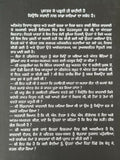 Operation Blue Star The True Story by K. S. Brar Paperback 2003 Punjabi Amritsar