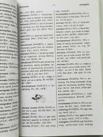Unique bilingual english punjabi pronunciation grammatical pocket dictionary b23