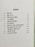 Sikh sital munaray te chamka punjabi dadhi vaara book by sohan singh sital b65