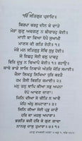 Sikh maharani jinda last queen iron lady punjabi literature book kehar singh mc