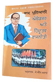 Ambedkar Ate Hindutav Rajneeti Ram Puniyani Punjabi Gurmukhi Panjabi Book B41
