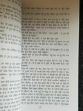 Pinjar Novel Amrita Pritam Punjabi Famous Fiction Panjabi Book Paperback B65 New