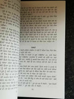 Pinjar Novel Amrita Pritam Punjabi Famous Fiction Panjabi Book Paperback B65 New