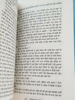 Hai ishq jhna gahra punjabi novel by buta singh shaad kaur panjabi book b17 new