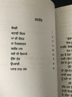 Sadhran de haar stories by nanak singh indian punjabi reading literature book b4