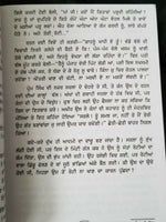 Fauladi phul novel by nanak singh indian punjabi reading literature book b67